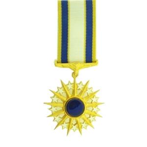Air Force Distinguished Service Medal - Mini