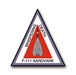 Air Force F-111 Patch Vinyl Transfer Decal