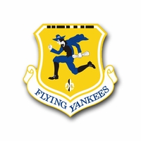 Air Force Fighter Wings Vinyl Transfer Decals Thumbnail Illustration