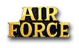 'AIR FORCE' MILITARY <BR>LAPEL PIN