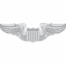 Air Force Pilot Wings Decal