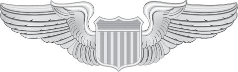 Air Force Pilot Wings Decal