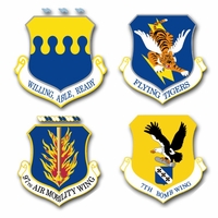 Air Force Wings Vinyl Transfer Decals Thumbnail Illustration