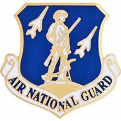 Air National Guard Lapel Pin