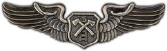 Air Rescue Wings Lapel Pin