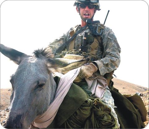 Airborne ... By Donkey?  Mouse Pad