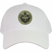 Alaska Defense Command Subdued Embroidered Cap