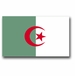 Algeria Flag Vinyl Transfer Decal