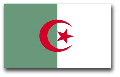 Algeria Flag Vinyl Transfer Decal