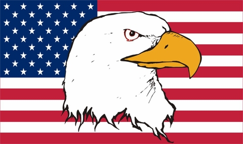 American Flag with Eagle Decal Sticker