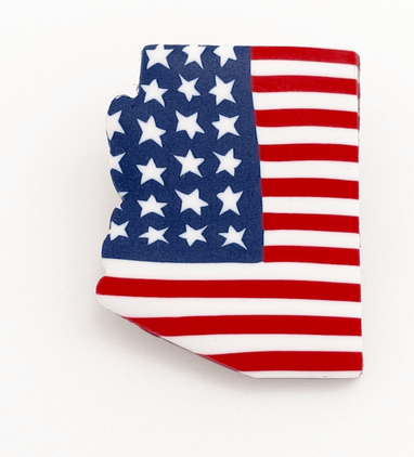 Americana Arizona State Pin