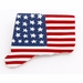 Americana Connecticut State Pin