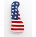 Americana Delaware State Pin
