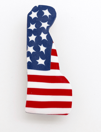 Americana Delaware State Pin