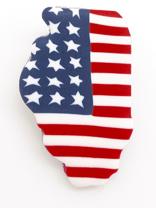 Americana Illinois State Pin