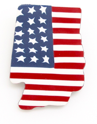 Americana Indiana State Pin