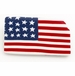 Americana Kansas State Pin