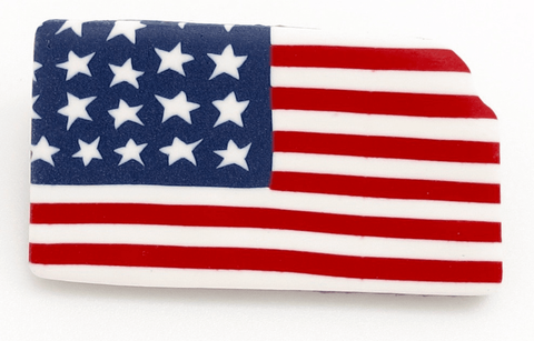 Americana Kansas State Pin