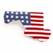 Americana Maryland State Pin