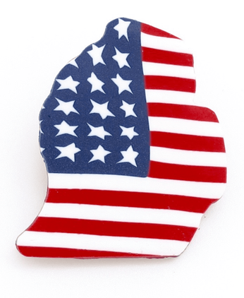 Americana Michigan State Pin