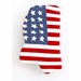 Americana Mississippi State Pin