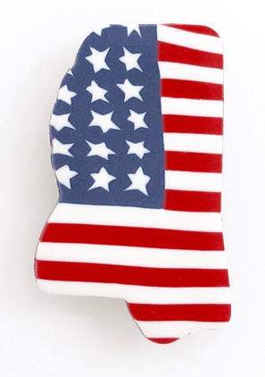 Americana Mississippi State Pin