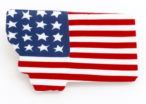 Americana Montana State Pin