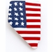 Americana Nevada State Pin