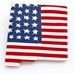 Americana New Mexico State Pin