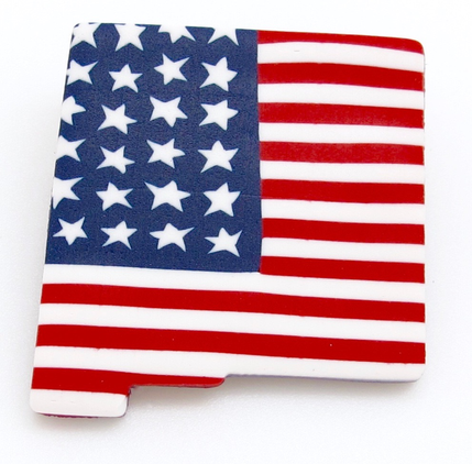Americana New Mexico State Pin
