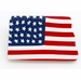 Americana North Dakota State Pin