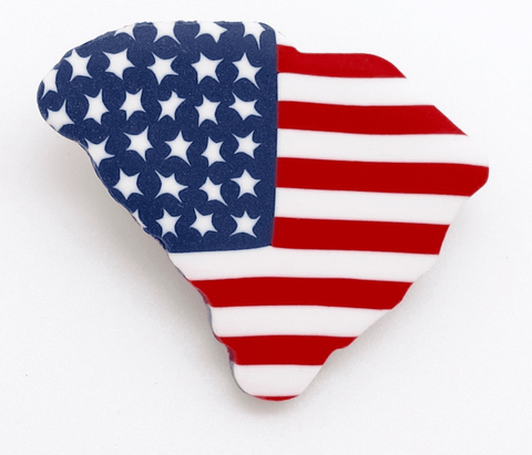 Americana South Carolina State Pin