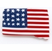 Americana South Dakota State Pin