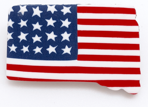 Americana South Dakota State Pin