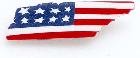 Americana Tennessee State Pin