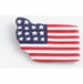 Americana Washington State Pin
