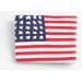 Americana Wyoming State Pin