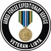Armed Forces Expeditionary Medal Libya Decal