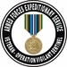 Armed Forces Expeditionary Medal Vigilant Sentinel Decal