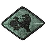 Army 266th Financial Center Subdued Patch