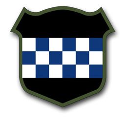 Army 99th Regional Support Command Division Decal