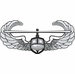Army Air Assault Wings  Vinyl Transfer Decal