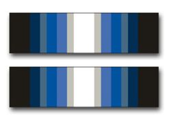 Army Antarctica Service Medal Ribbon Vinyl Transfer Decal