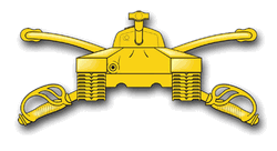 Army Armor Decal