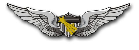 Army Astronaut Wings  Vinyl Transfer Decal