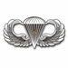 Army Basic 1 Combat Jump Wings Vinyl Transfer Decal