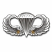 Army Basic 2 Combat Jump Wings  Vinyl Transfer Decal