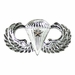 Army Basic Combat Parachute 1st Award Badge - Mirrored Finish