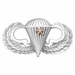 Army Basic Combat Parachute 1st Award Badge - Oxidized Finish