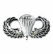 Army Basic Combat Parachute 2nd Award - Mirrored Finish